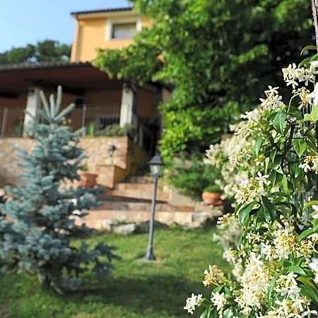 Bed and Breakfast Casafe Tra Sogno E Realta Narni Scalo